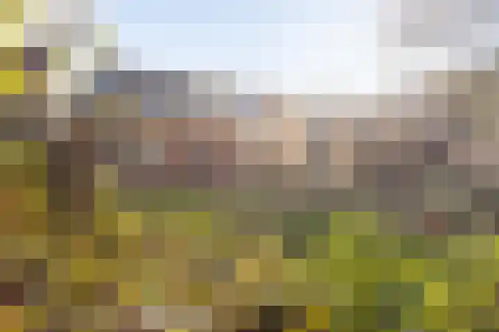 Greate Buorren 33 Weidum thumbnail 35