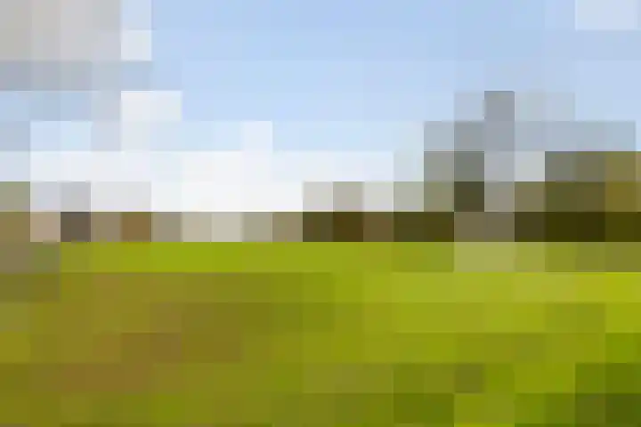 Greate Buorren 33 Weidum thumbnail 37