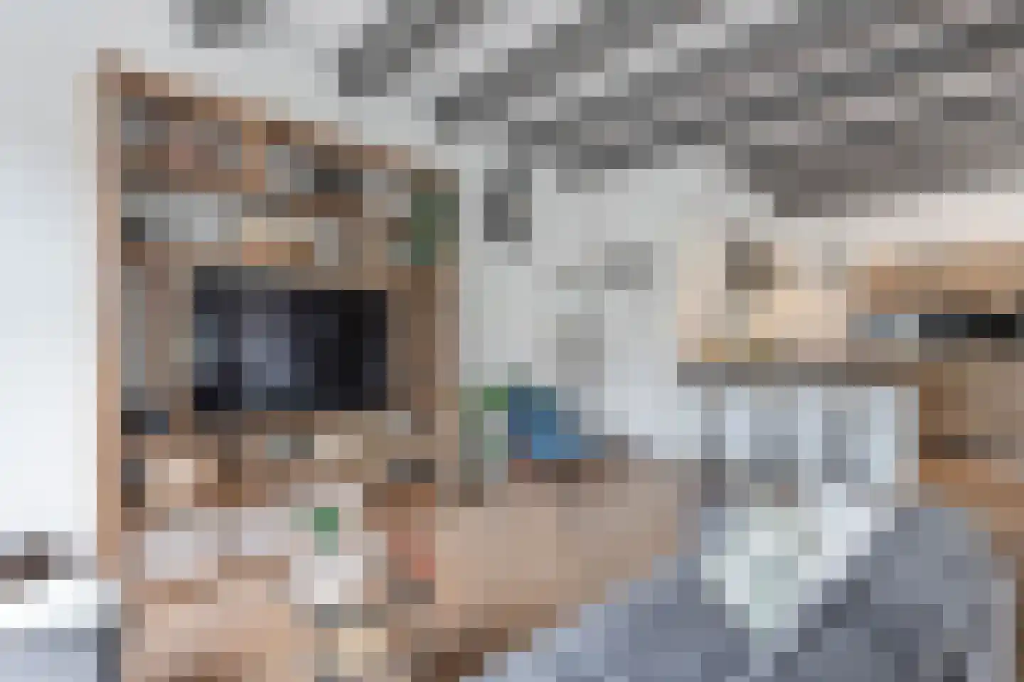 Greate Buorren 6 Wjelsryp thumbnail 13