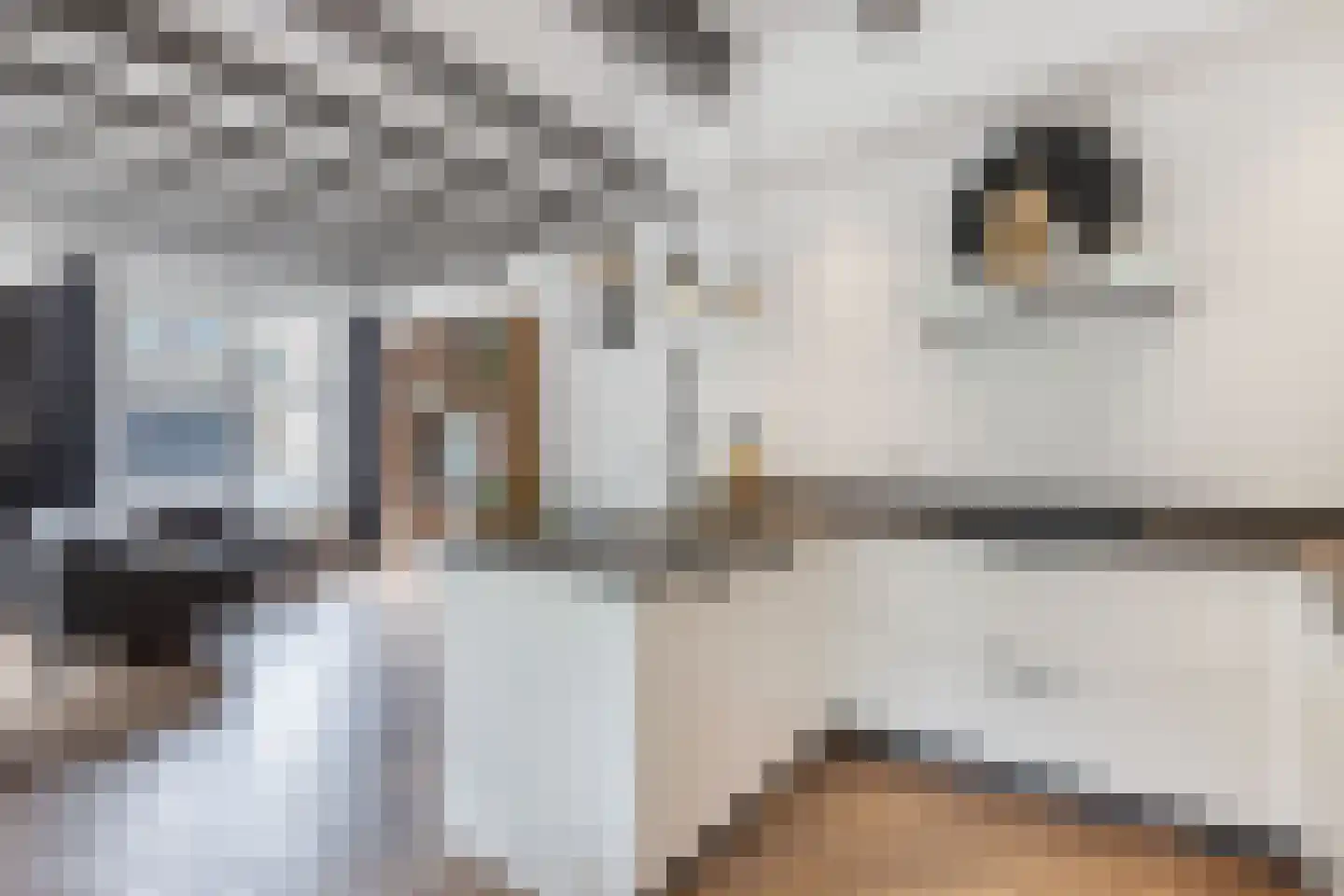 Greate Buorren 6 Wjelsryp thumbnail 16