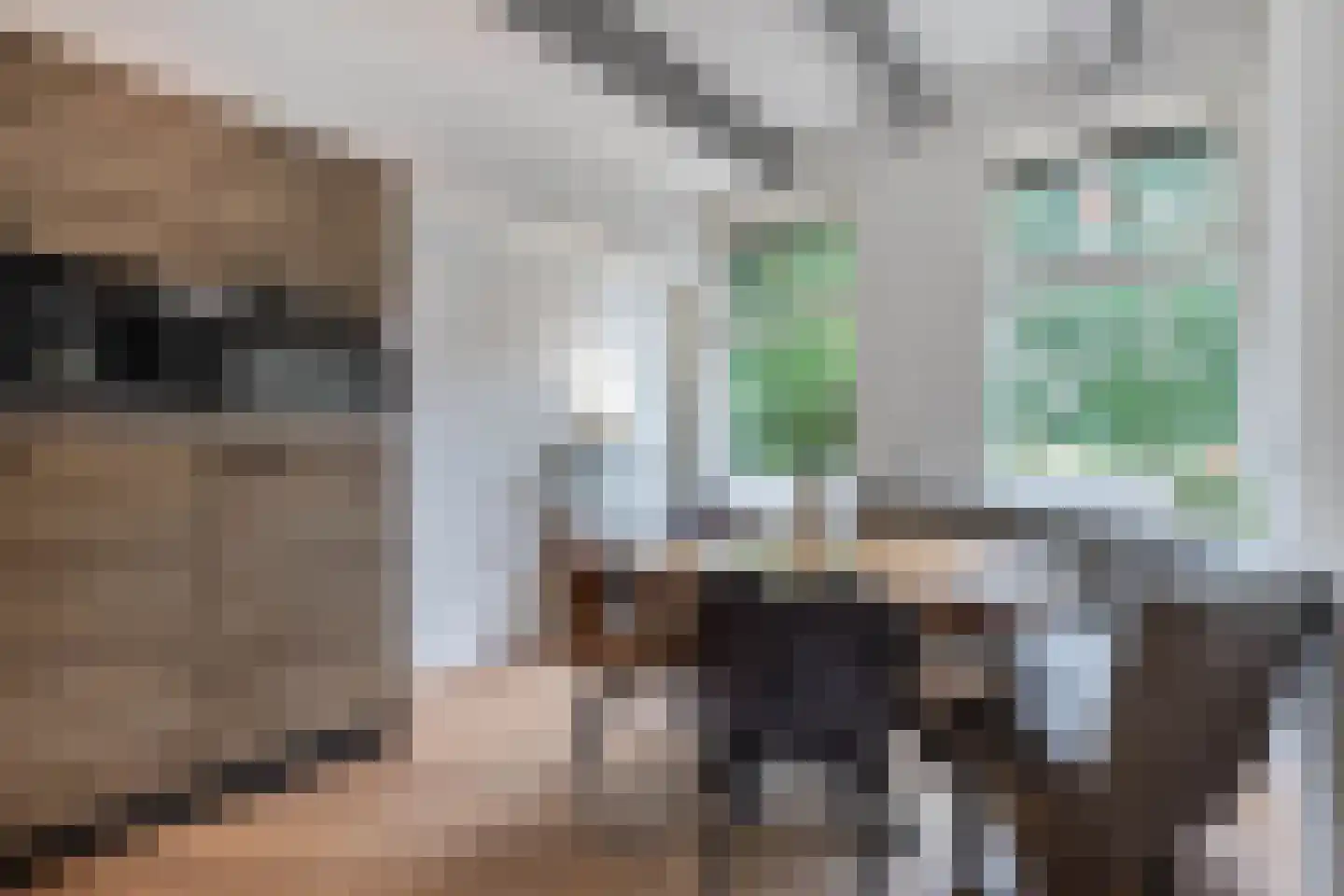 Greate Buorren 6 Wjelsryp thumbnail 17