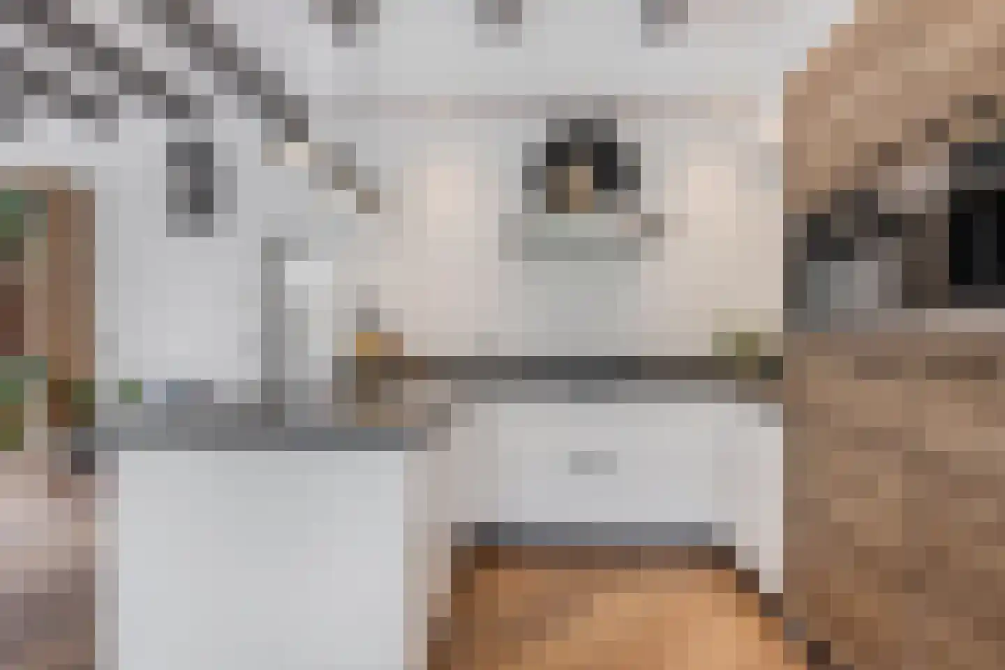 Greate Buorren 6 Wjelsryp thumbnail 19
