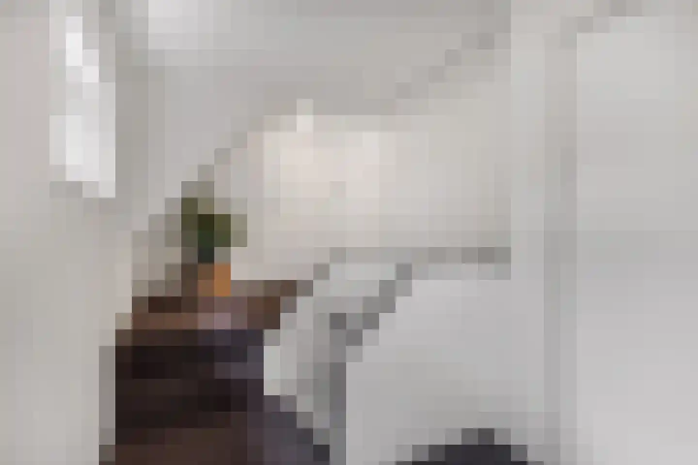 Greate Buorren 6 Wjelsryp thumbnail 21