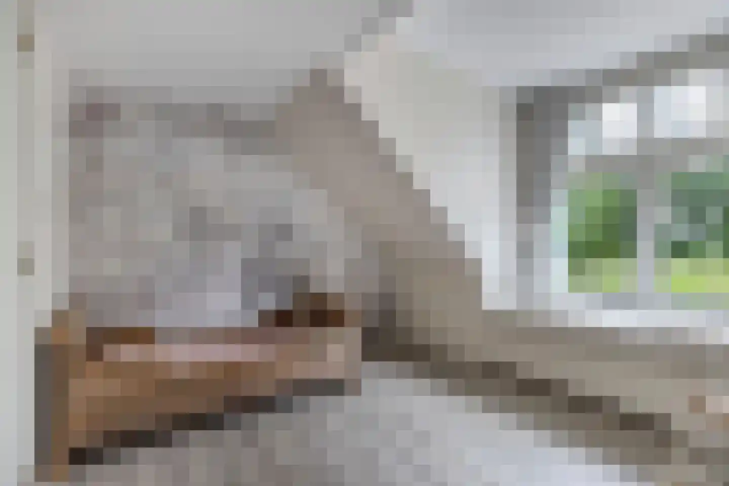 Greate Buorren 6 Wjelsryp thumbnail 28