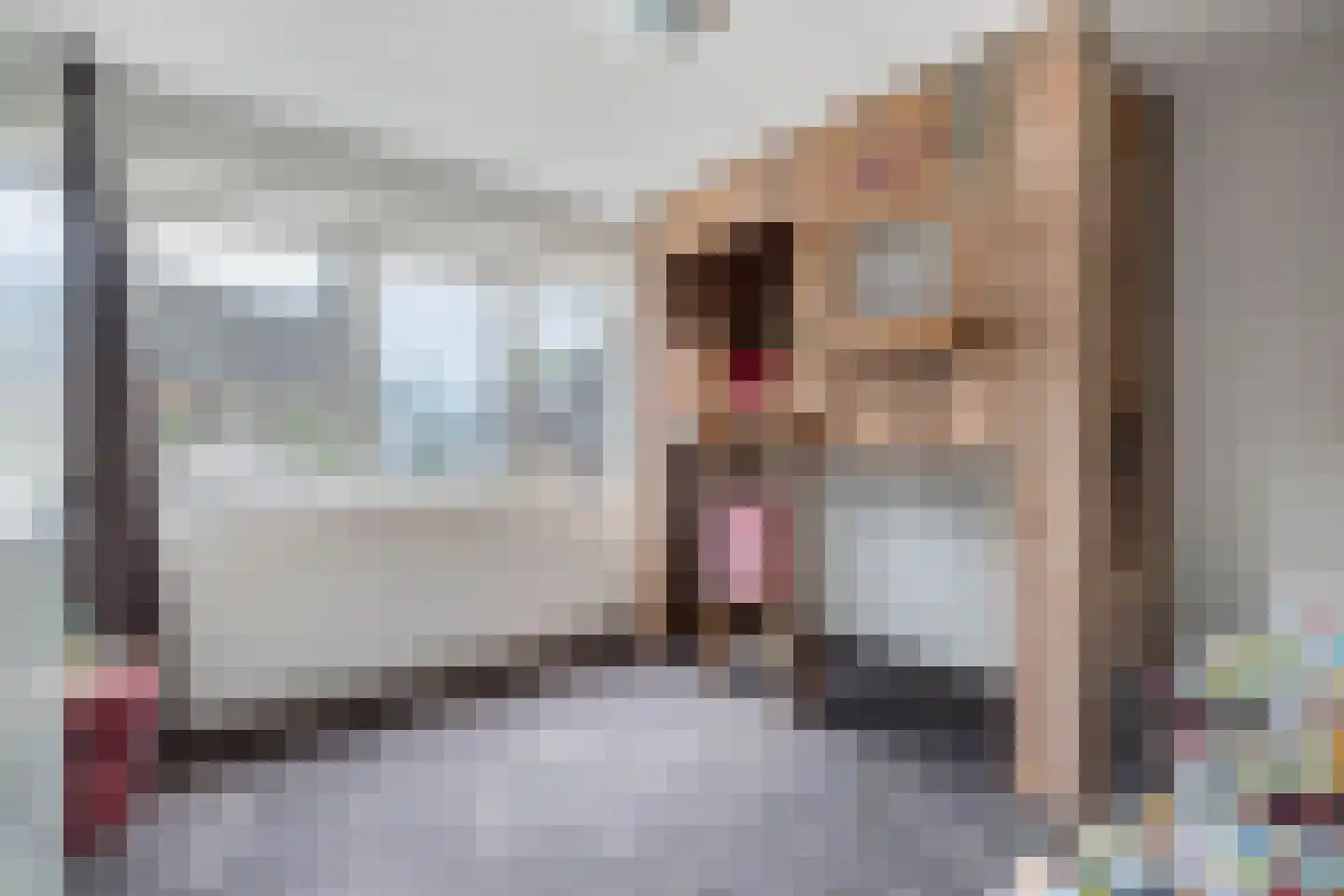 Greate Buorren 6 Wjelsryp thumbnail 30