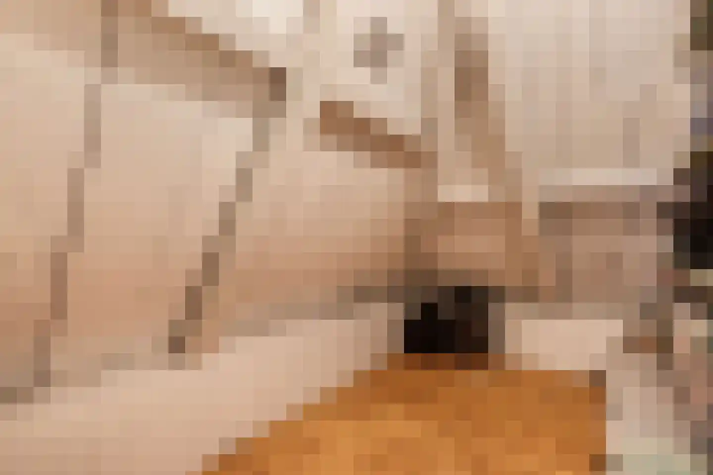 Greate Buorren 6 Wjelsryp thumbnail 34