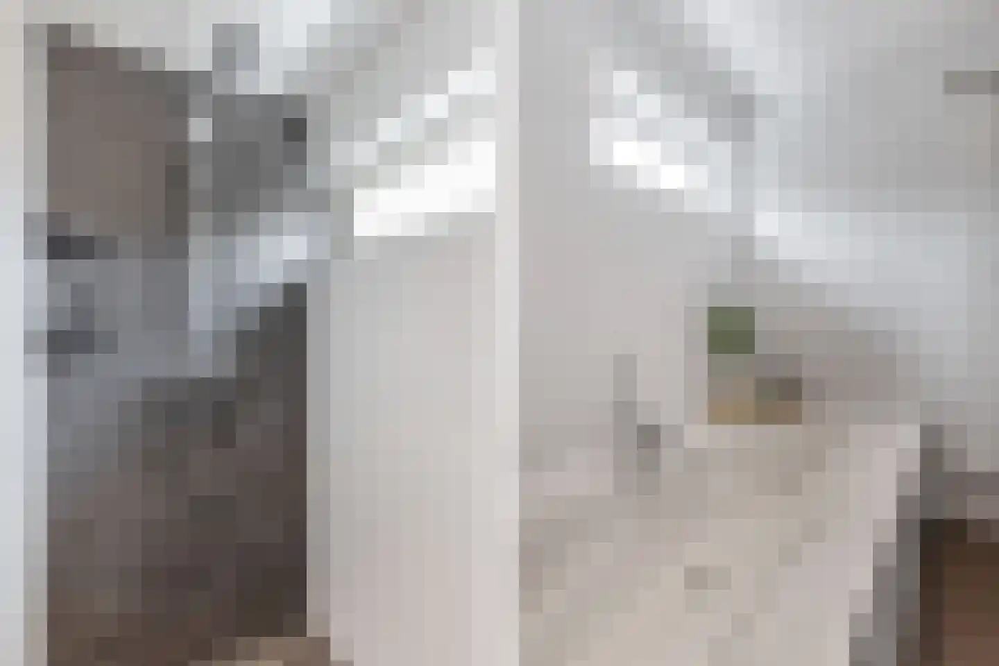 Greate Buorren 6 Wjelsryp thumbnail 40