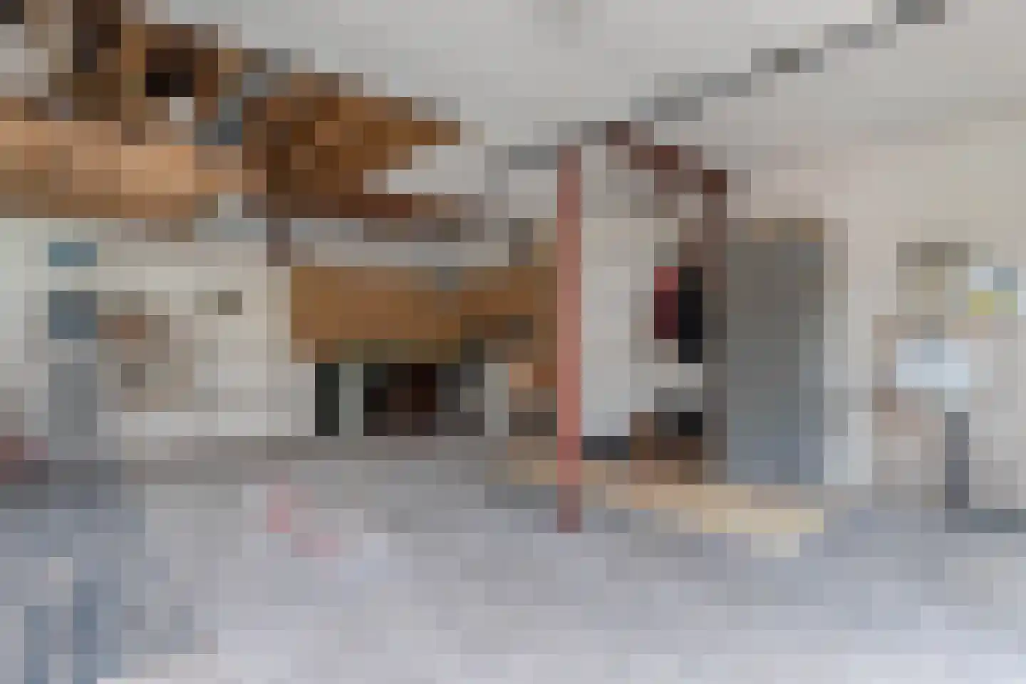 Greate Buorren 6 Wjelsryp thumbnail 43