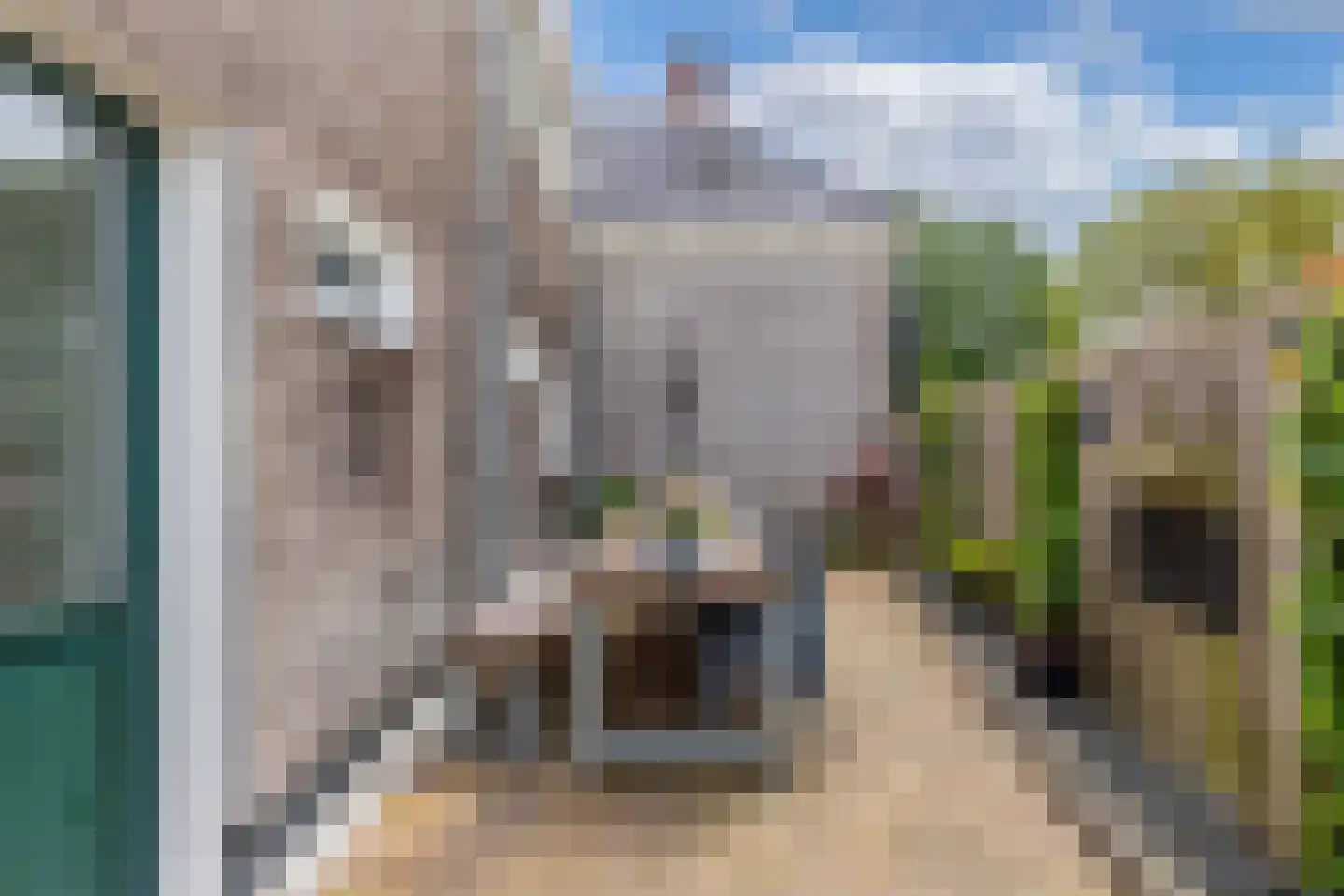 Greate Buorren 6 Wjelsryp thumbnail 46