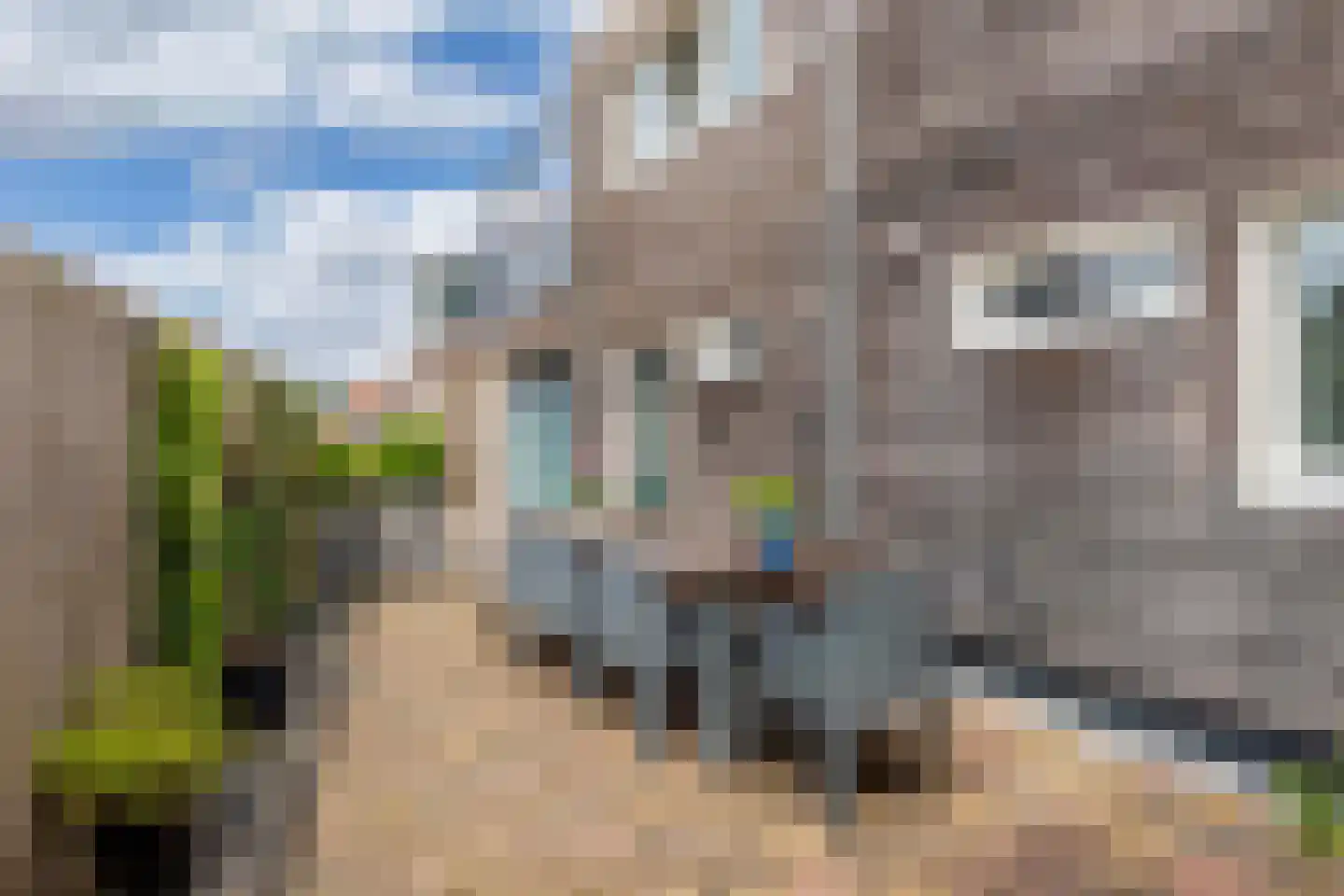 Greate Buorren 6 Wjelsryp thumbnail 47