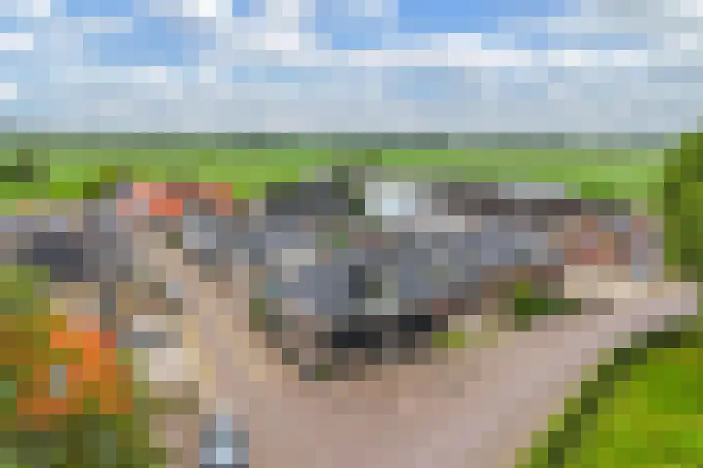 Greate Buorren 6 Wjelsryp thumbnail 55