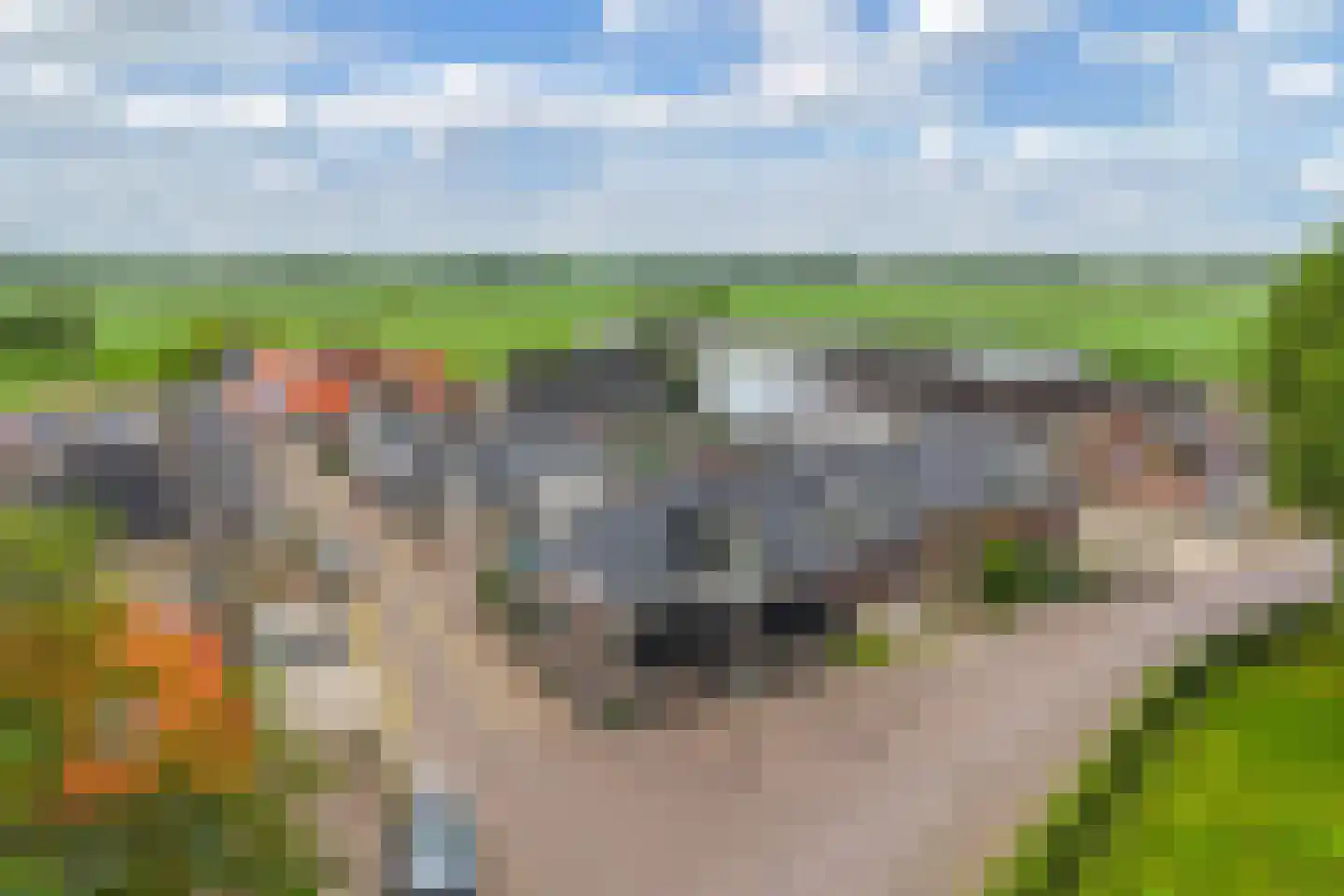Greate Buorren 6 Wjelsryp thumbnail 6
