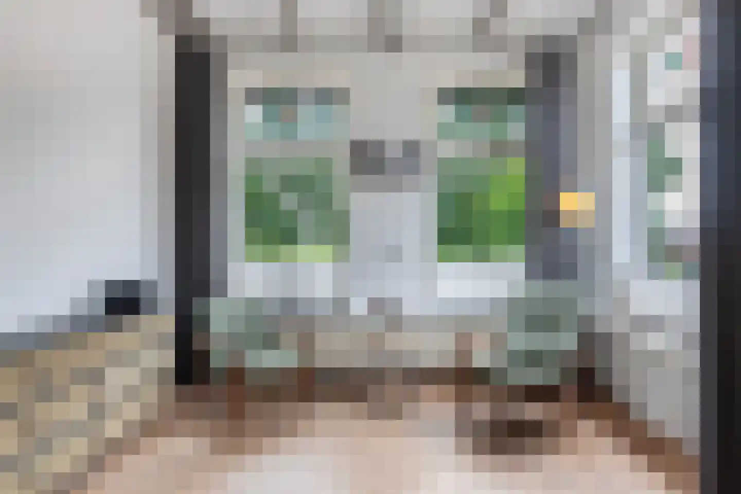 Greate Buorren 6 Wjelsryp thumbnail 9