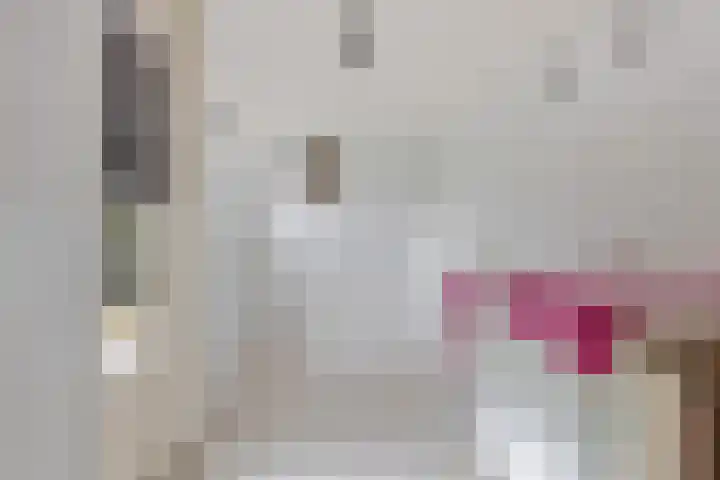 Greate Kamp 25 Bakkeveen thumbnail 14