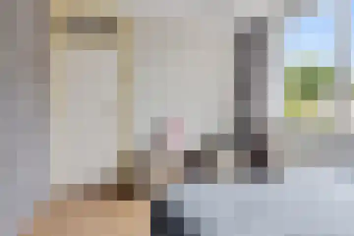 Greate Kamp 25 Bakkeveen thumbnail 24