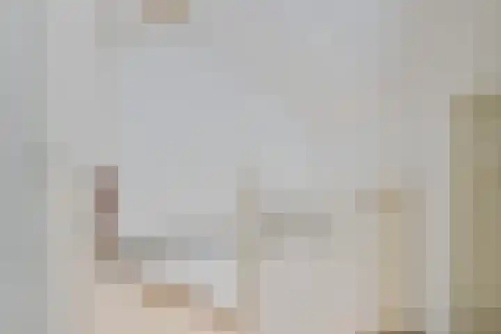 Greate Kamp 25 Bakkeveen thumbnail 31