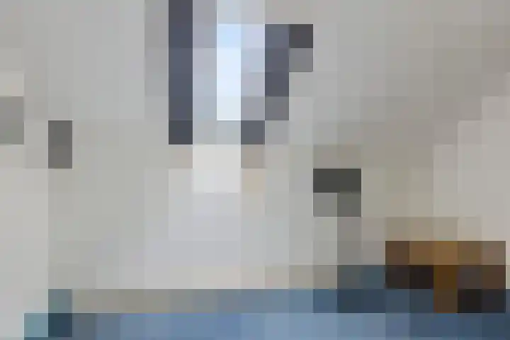 Greate Kamp 25 Bakkeveen thumbnail 33