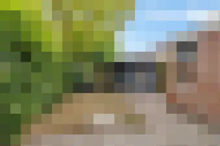 Greate Kamp 25 Bakkeveen thumbnail 36