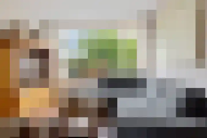 Greate Kamp 25 Bakkeveen thumbnail 4