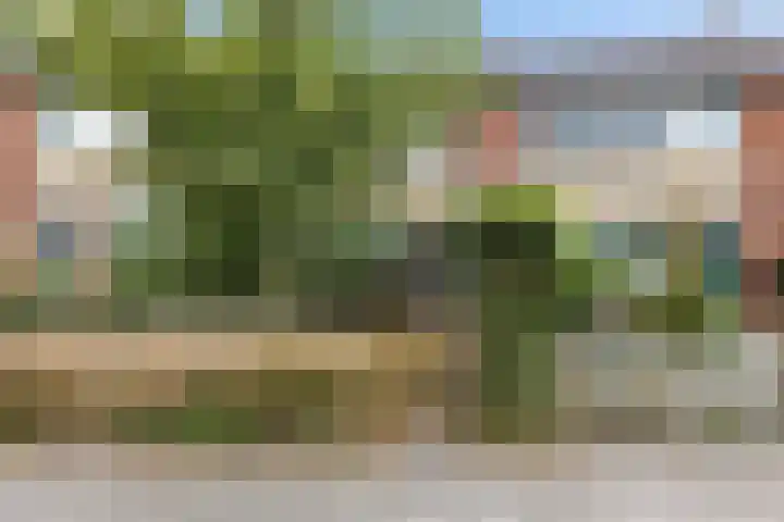 Greate Kamp 25 Bakkeveen thumbnail 41