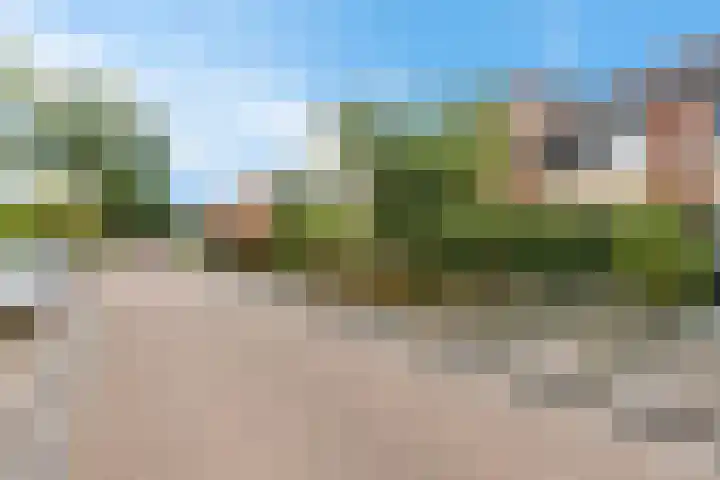 Greate Kamp 25 Bakkeveen thumbnail 42