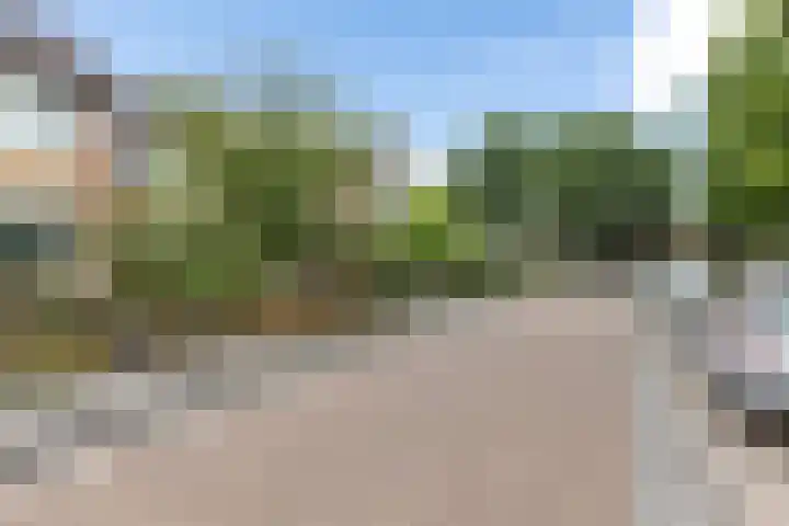 Greate Kamp 25 Bakkeveen thumbnail 43