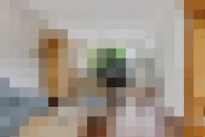 Greate Kamp 25 Bakkeveen thumbnail 7