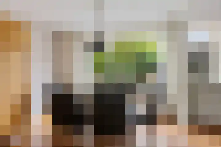 Greate Kamp 25 Bakkeveen thumbnail 8
