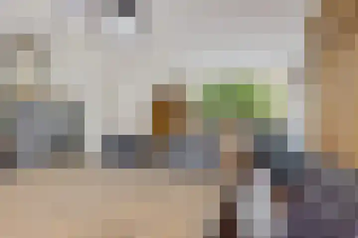 Greate Kamp 25 Bakkeveen thumbnail 9