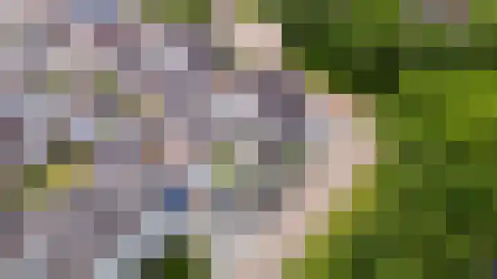 Greate Kamp 34 Bakkeveen thumbnail 10