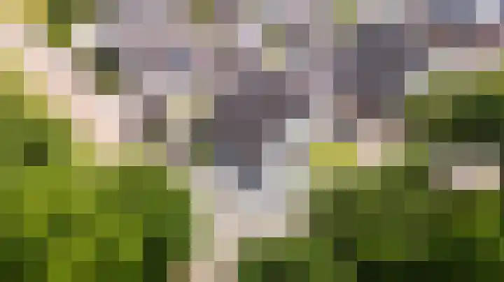 Greate Kamp 34 Bakkeveen thumbnail 11