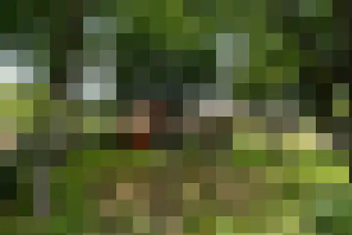 Greate Kamp 34 Bakkeveen thumbnail 13