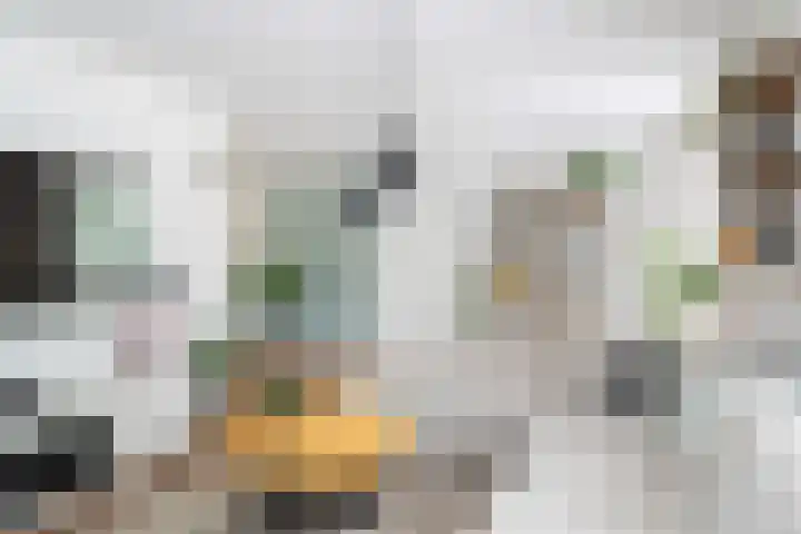Greate Kamp 34 Bakkeveen thumbnail 18