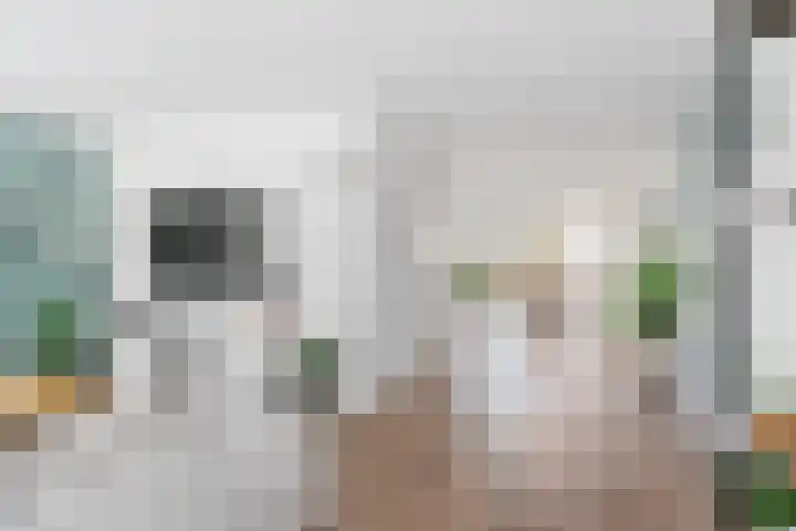 Greate Kamp 34 Bakkeveen thumbnail 19