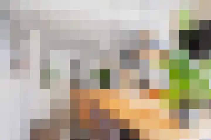 Greate Kamp 34 Bakkeveen thumbnail 21