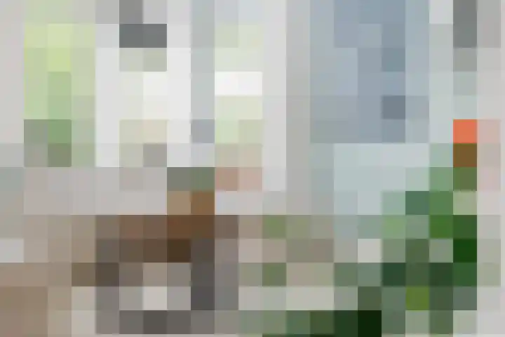 Greate Kamp 34 Bakkeveen thumbnail 26