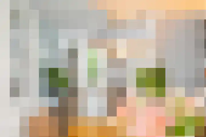 Greate Kamp 34 Bakkeveen thumbnail 27