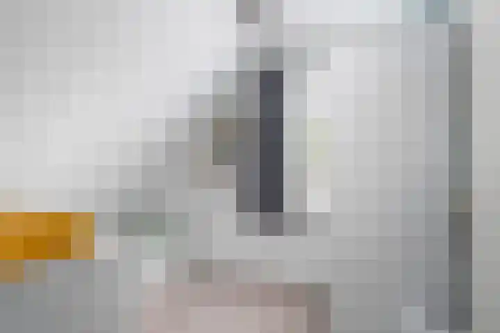 Greate Kamp 34 Bakkeveen thumbnail 33