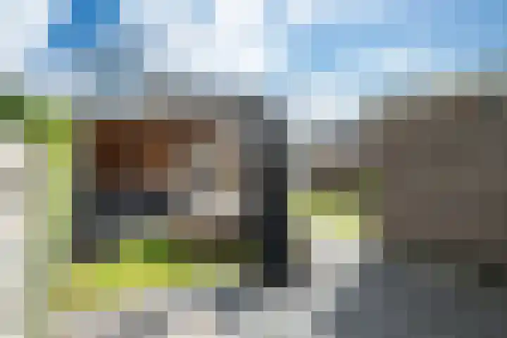 Greate Kamp 34 Bakkeveen thumbnail 4