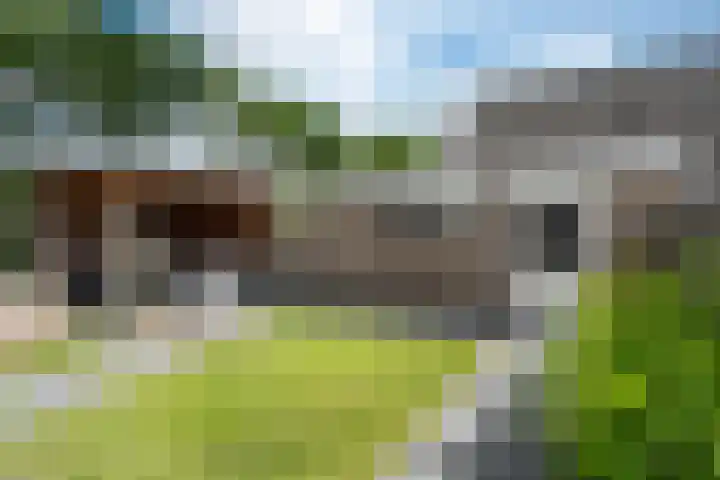 Greate Kamp 34 Bakkeveen thumbnail 5