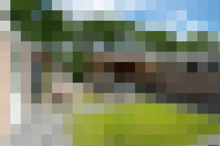Greate Kamp 34 Bakkeveen thumbnail 7