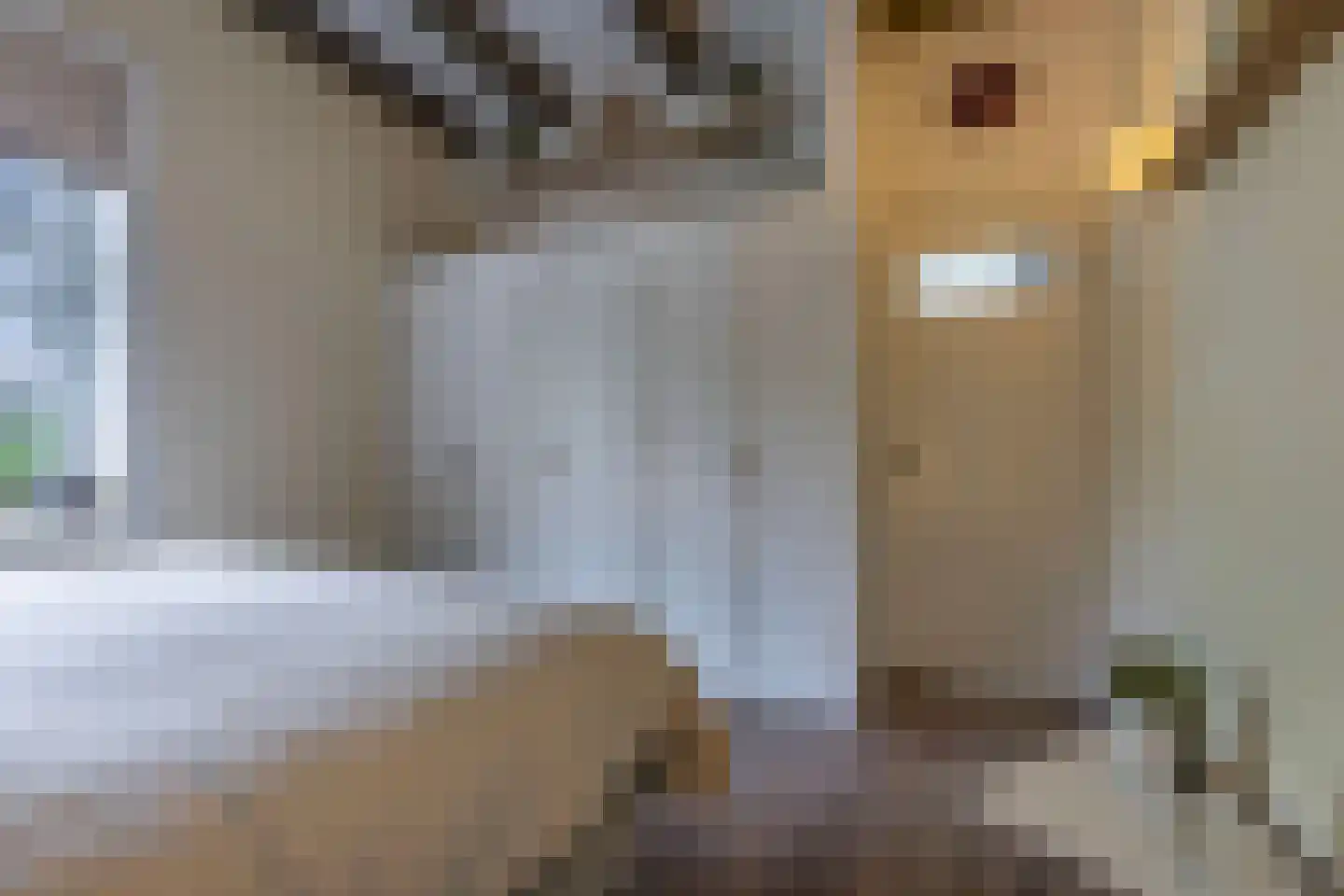 Greate Pierwei 15 Kimswerd thumbnail 22
