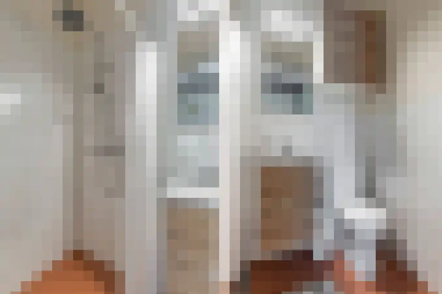 Greate Pierwei 15 Kimswerd thumbnail 25