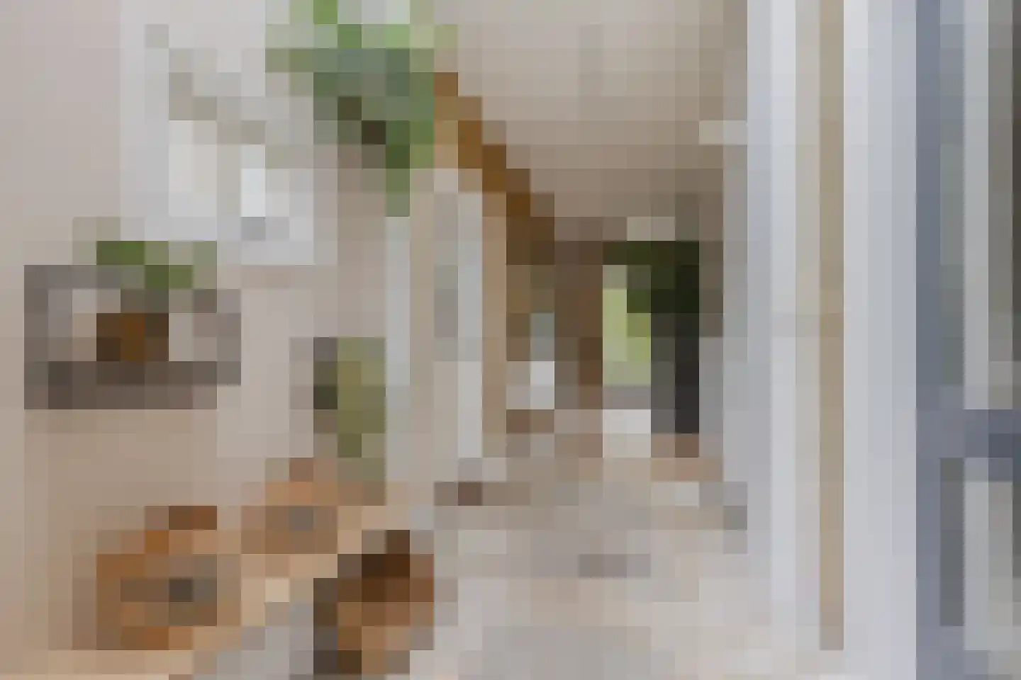 Greate Pierwei 15 Kimswerd thumbnail 29