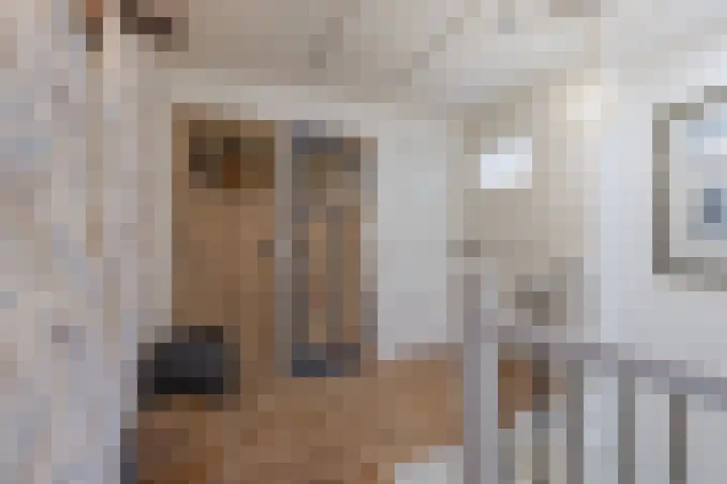 Greate Pierwei 15 Kimswerd thumbnail 32