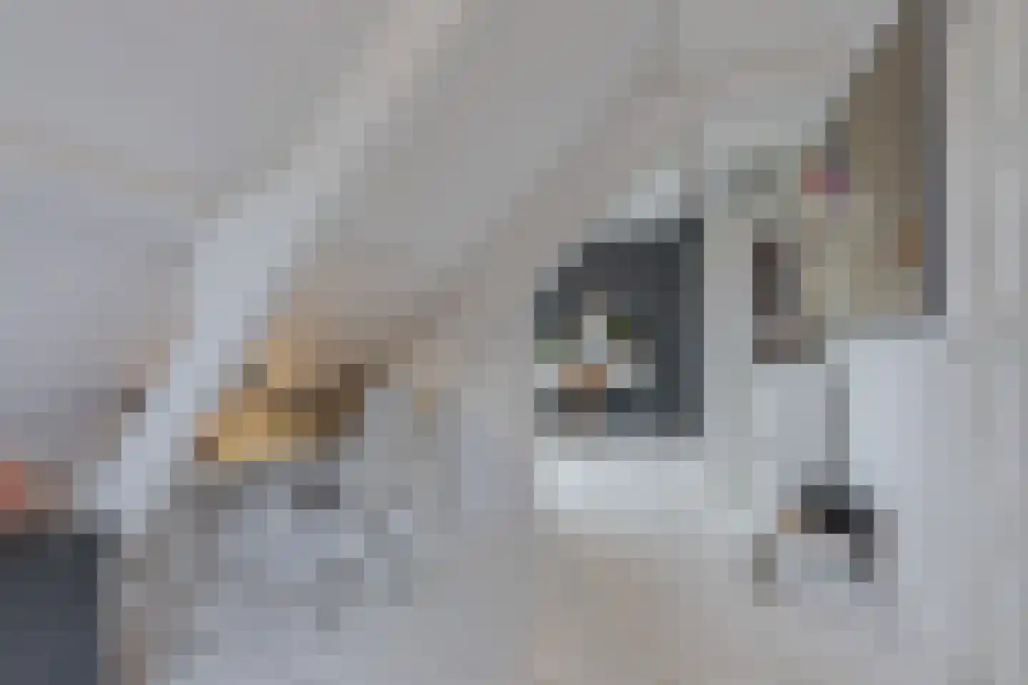 Greate Pierwei 15 Kimswerd thumbnail 36