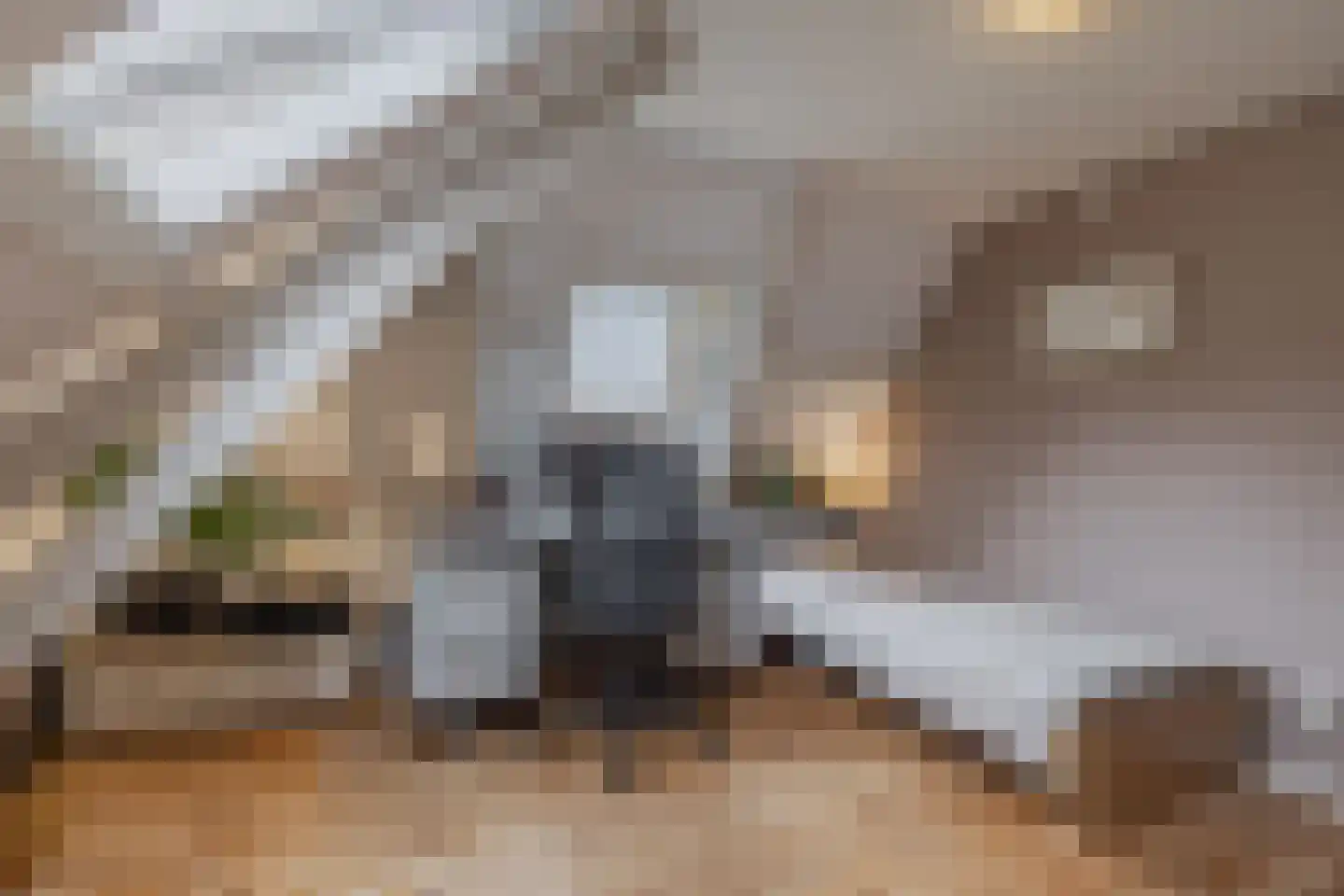 Greate Pierwei 15 Kimswerd thumbnail 38
