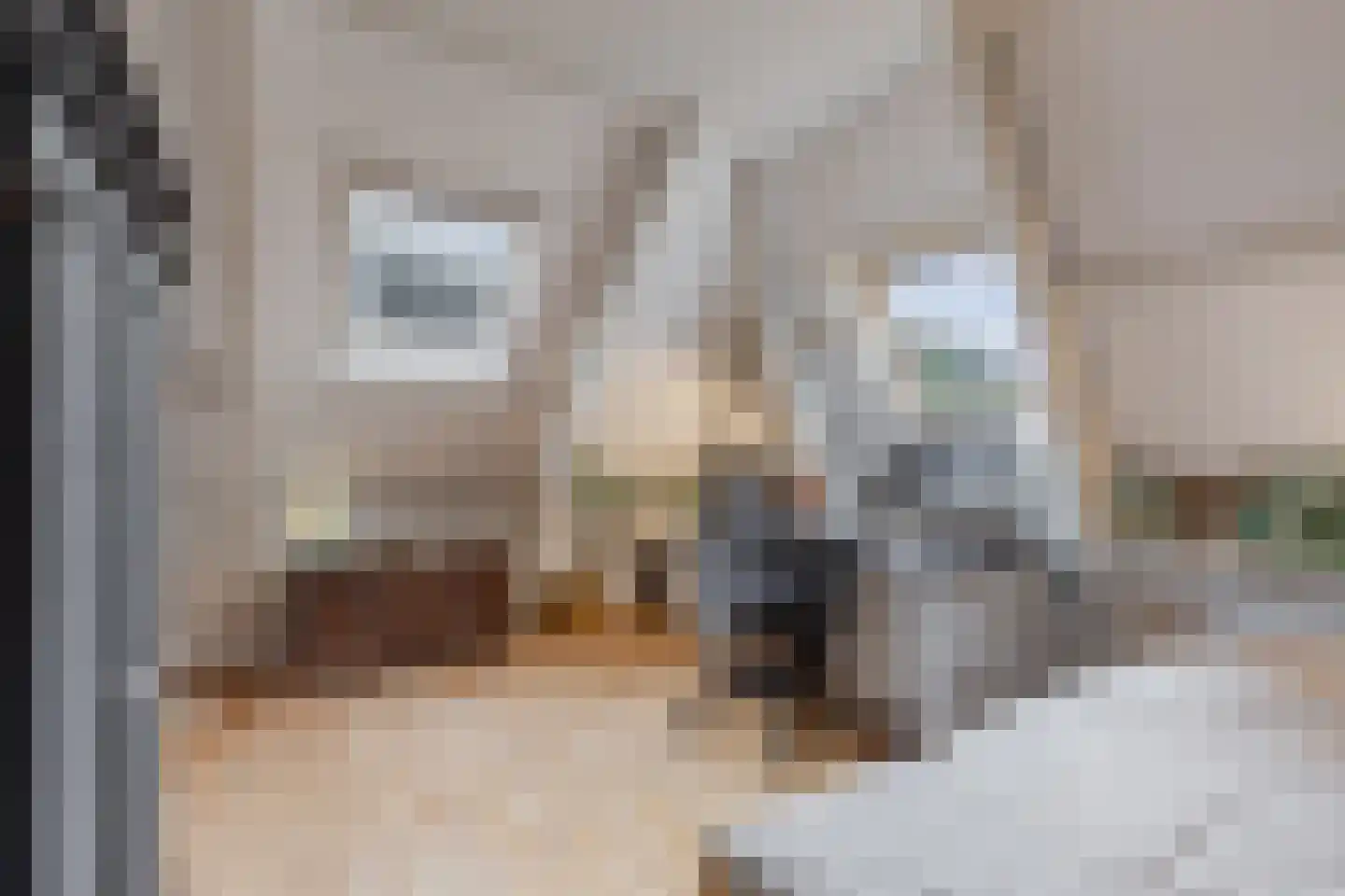Greate Pierwei 15 Kimswerd thumbnail 39