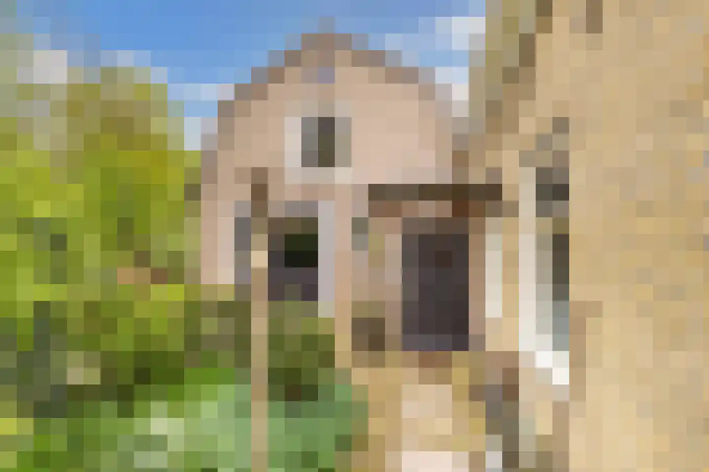 Greate Pierwei 15 Kimswerd thumbnail 4