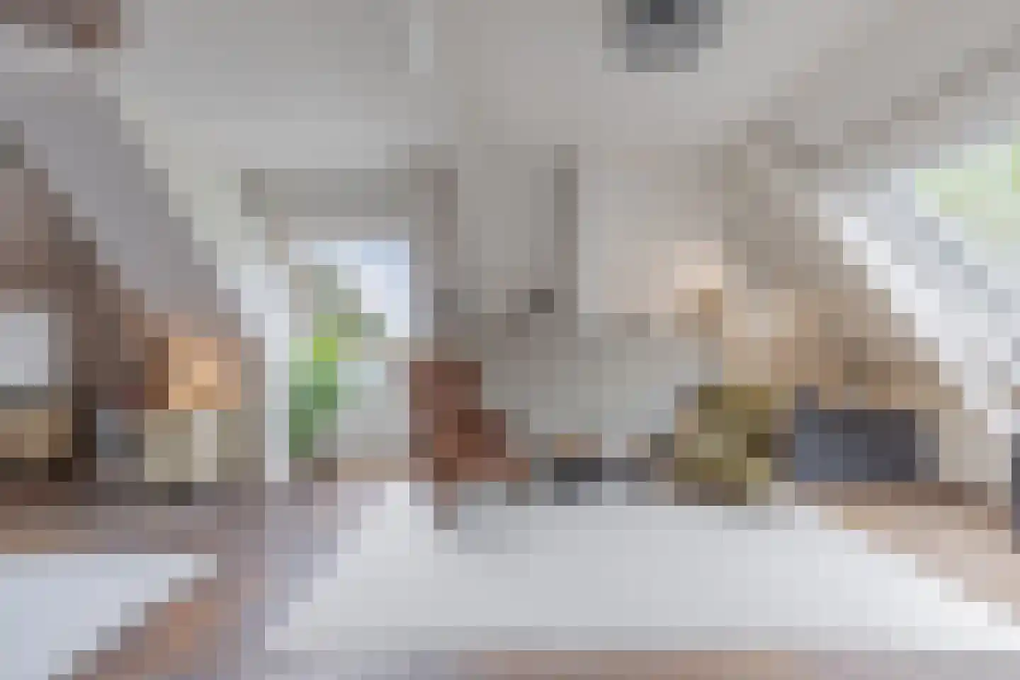 Greate Pierwei 15 Kimswerd thumbnail 41